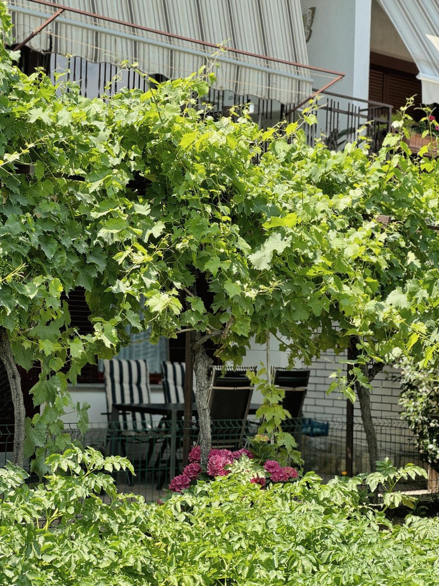 Apartment Gregoric Ізола Екстер'єр фото